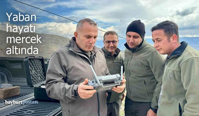 Bayburt'ta yaban hayatının korunması için veriler toplandı