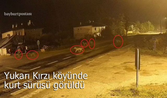 Yukarı Kırzı köyünde kurt sürüsü!