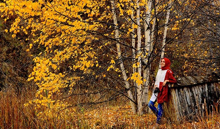 Bayburt'ta sonbahar renkleri