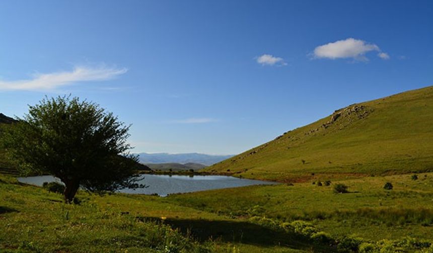 Bayburt'tan yaz manzaraları