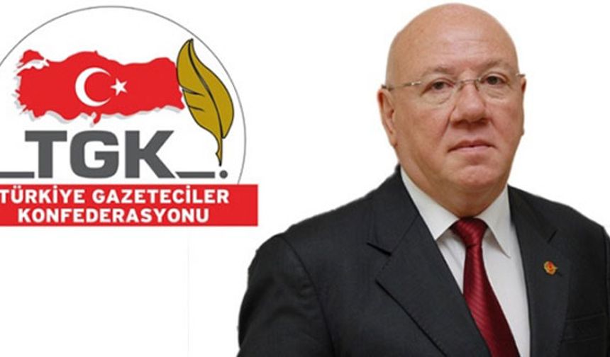 TGK Başkanı Kolaylı: "10 Ocak'lar gerçek anlamda basın bayramı olmalı"