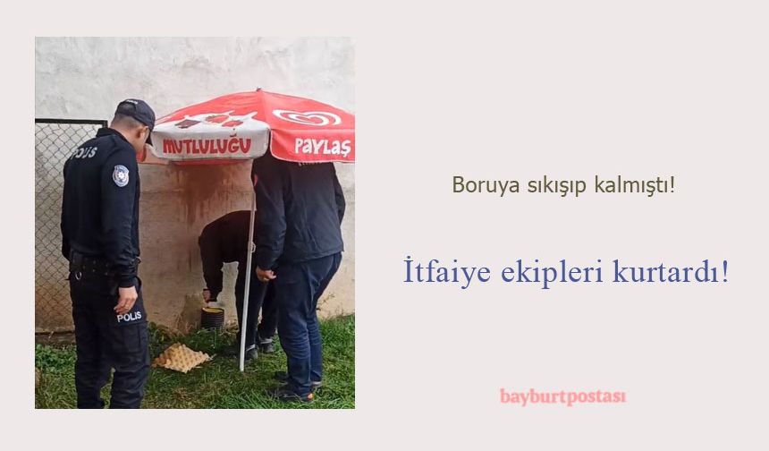 Boruda sıkışıp kalan kediyi itfaiye ekipleri kurtardı!