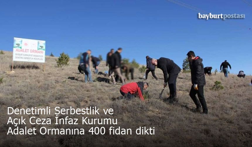 Denetimli Sebestlik ve Açık Ceza İnfaz Kurumu fidan dikti