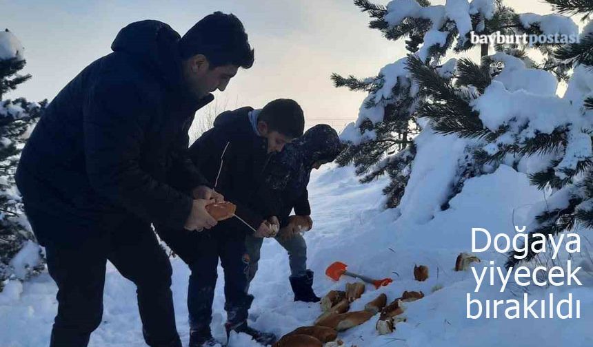 Bayburt’ta doğaya ekmek, buğday, mama, et ürünleri bırakıldı