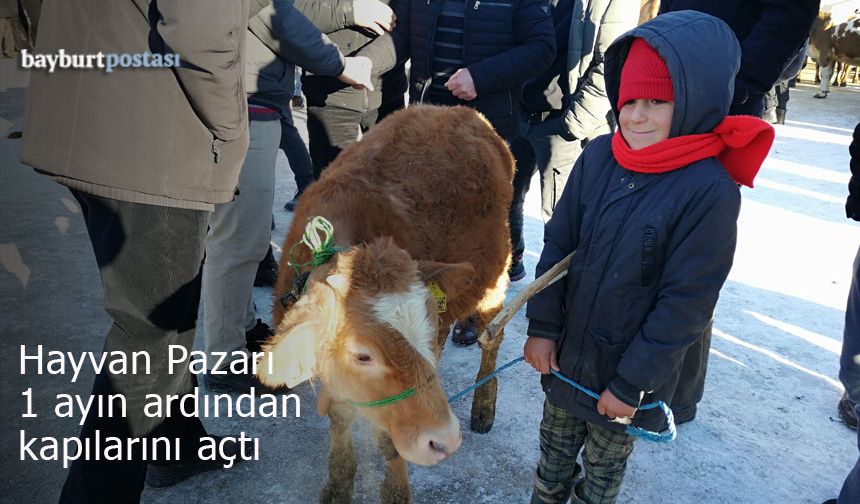 Bayburt Belediyesi Canlı Hayvan Pazarı 1 ayın ardından kapılarını açtı