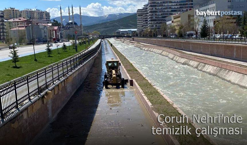 Çoruh Nehri'nde temizlik çalışması