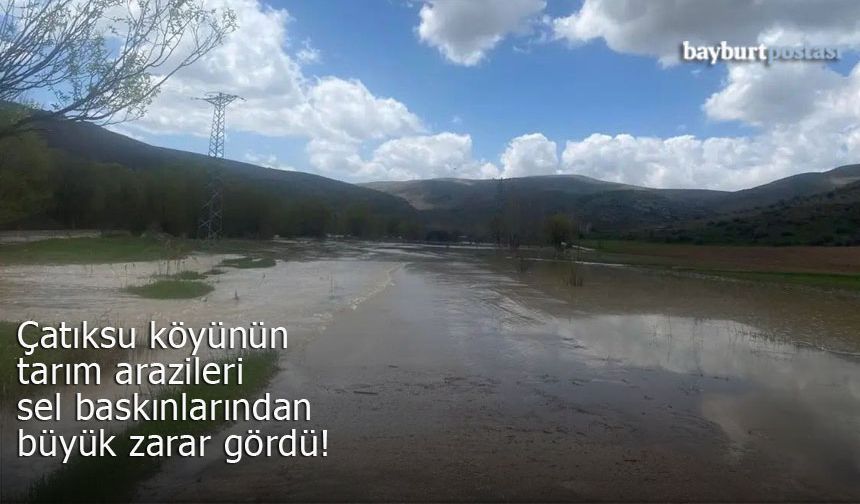 Arazileri büyük zarar gören Çatıksu'da inceleme
