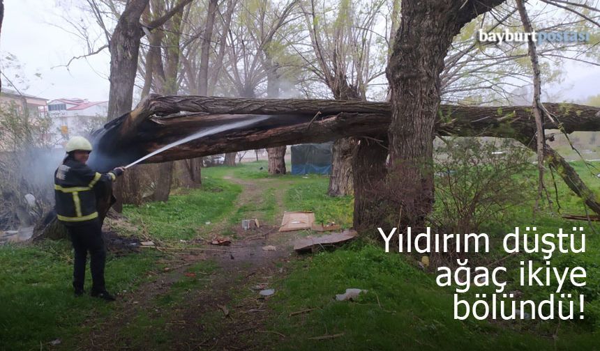 Bayburt’ta düşen yıldırım ağacı ikiye böldü!