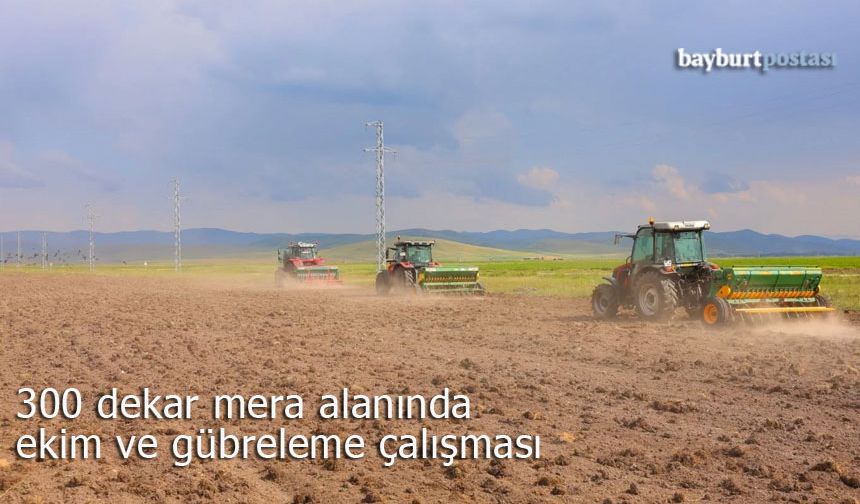 Çayıryolu'nda 300 dekar mera alanı ekim ve gübreleme ile verimli hale getirildi