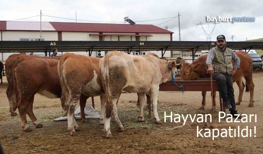 Bayburt'ta şap hastalığı tedirginliği: Hayvan Pazarı kapatıldı!