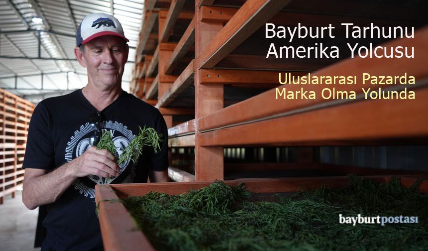 Bayburt Tarhunu Amerika Yolcusu