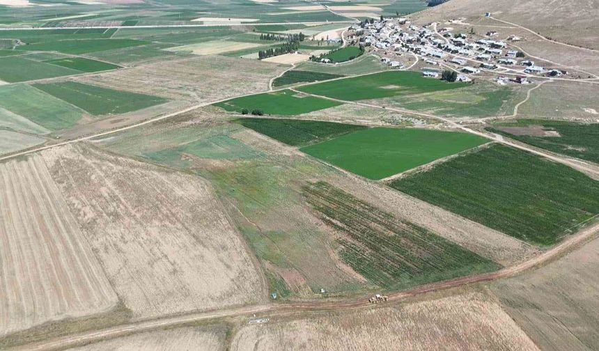 Demirözü’nde tarla içi yollar yapılıyor
