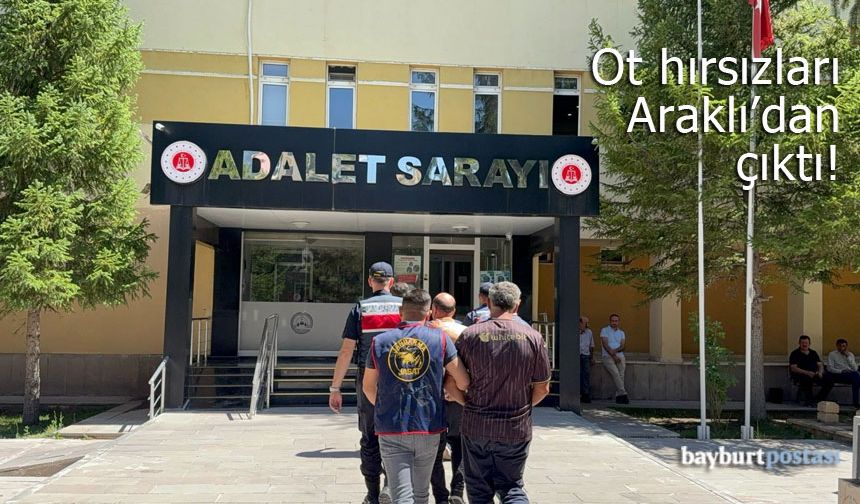 Bayburt'tan ot çalan hırsızlar Araklı'da yakalandı!