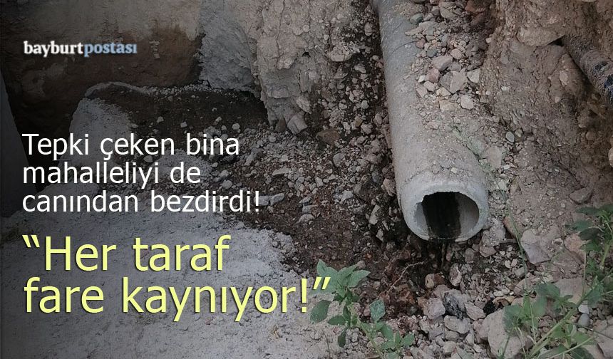 Tepki çeken bina, mahalleliyi de canından bezdirdi!