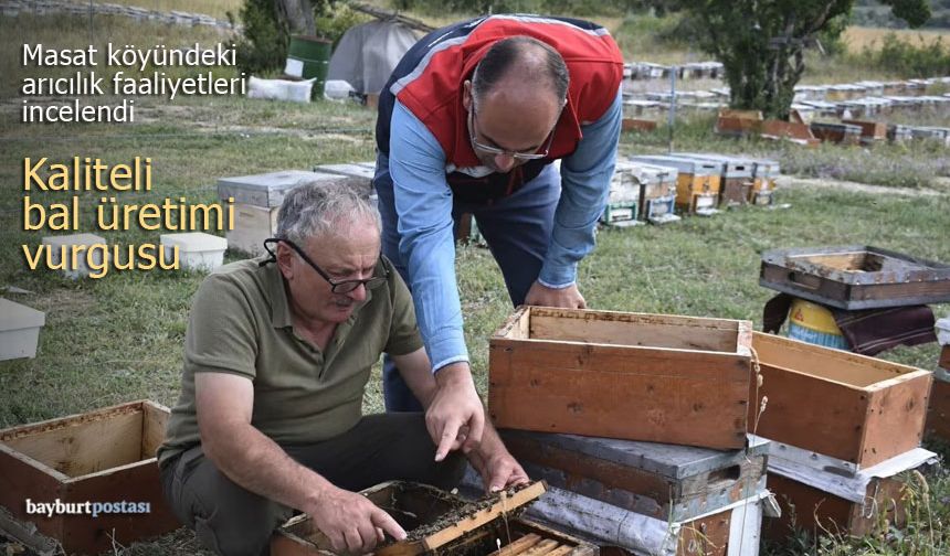Masat köyündeki arıcılık faaliyetleri incelendi