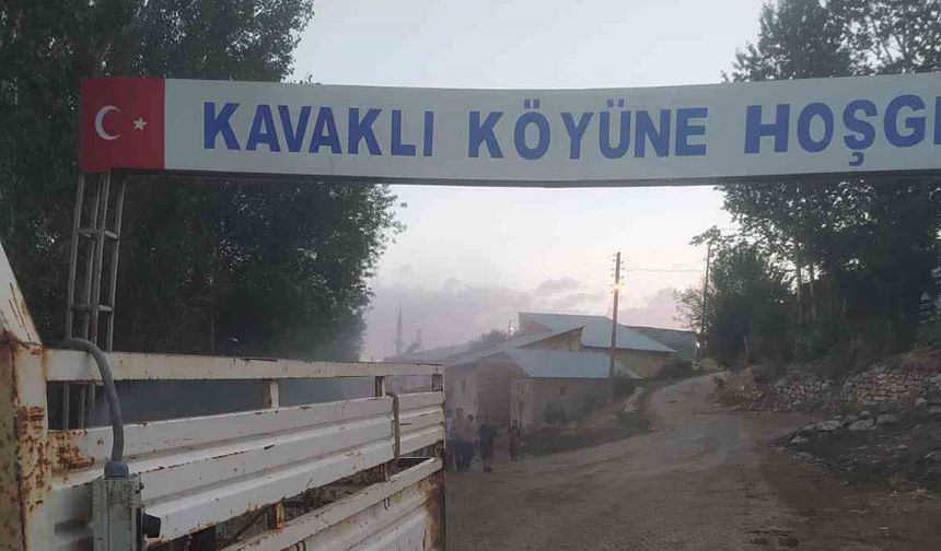 Bayburt'un 4 köyünde haşerelere karşı ilaçlama