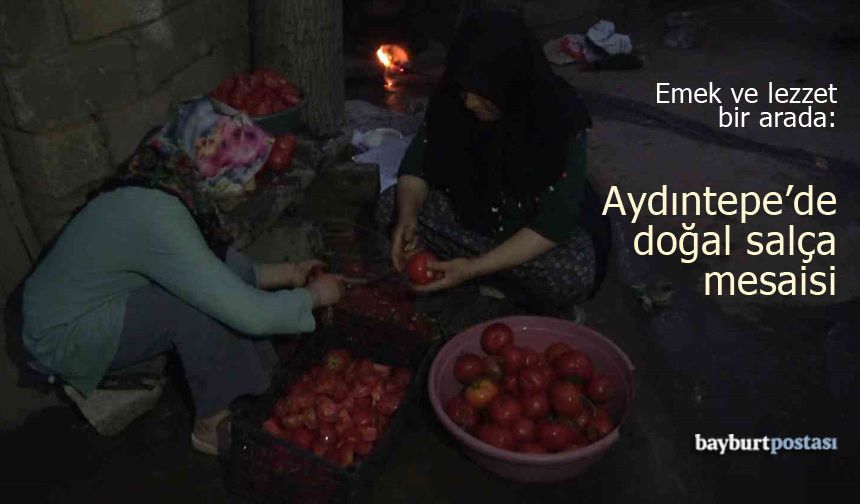 Emek ve lezzet bir arada: Aydıntepe'de doğal salça mesaisi