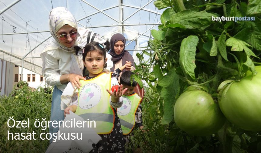 Özel öğrencilerden Bayburt'ta organik sebze hasadı