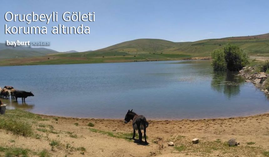 Oruçbeyli Göleti koruma altına alındı