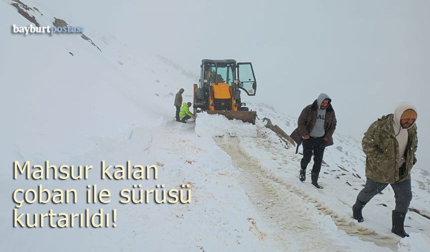 Sarı Çiçek Yaylası'nda mahsur kalan çoban ile sürüsü kurtarıldı!