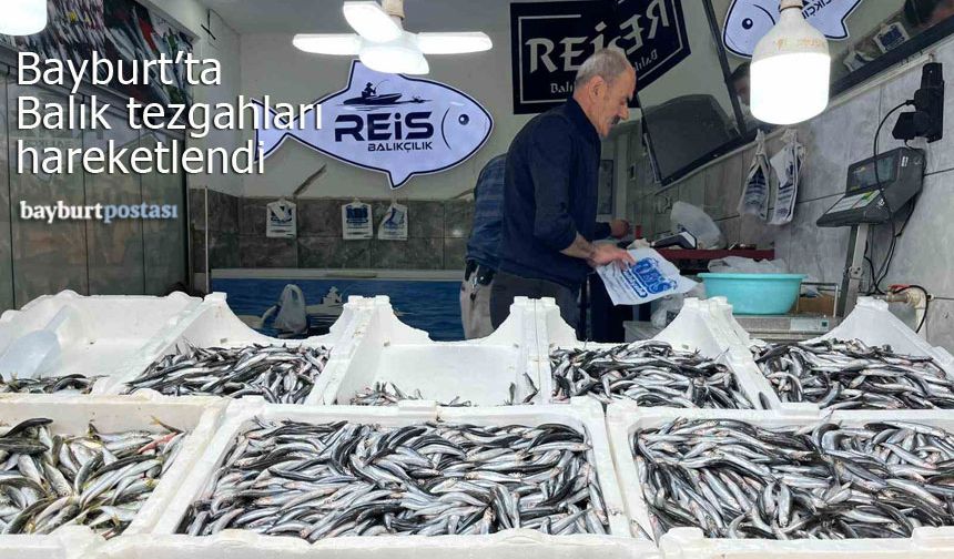 Bayburt'ta Balık Tezgahları Hareketlendi: Fiyatlar 100 ila 400 TL Arasında