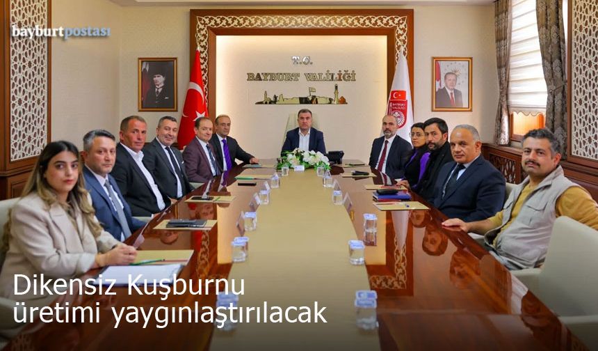 Bayburt'ta dikensiz kuşburnu üretimi yaygınlaştırılacak