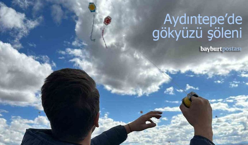 Aydıntepe'de Gökyüzü Şöleni: Hayaller Uçurtmalarla Göğe Taşındı!