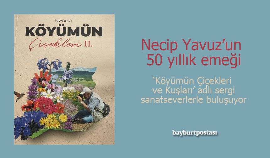 Necip Yavuz'un 50 yıllık emeği: "Köyümün Çiçekleri ve Kuşları"