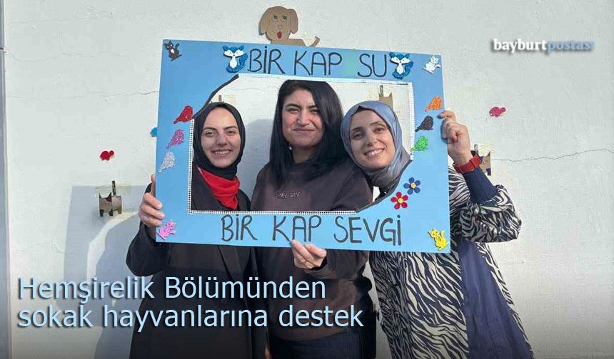 Sokak Hayvanlarına Anlamlı Destek: "Bir Kap Su, Bir Kap Sevgi"