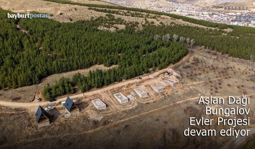 Aslan Dağı Bungalov Evler Projesinin yapımı devam ediyor