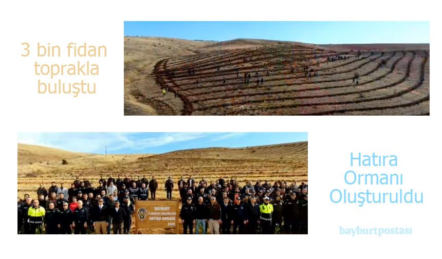 Bayburt Emniyeti'nden "Hatıra Ormanı"na 3 Bin Fidan!