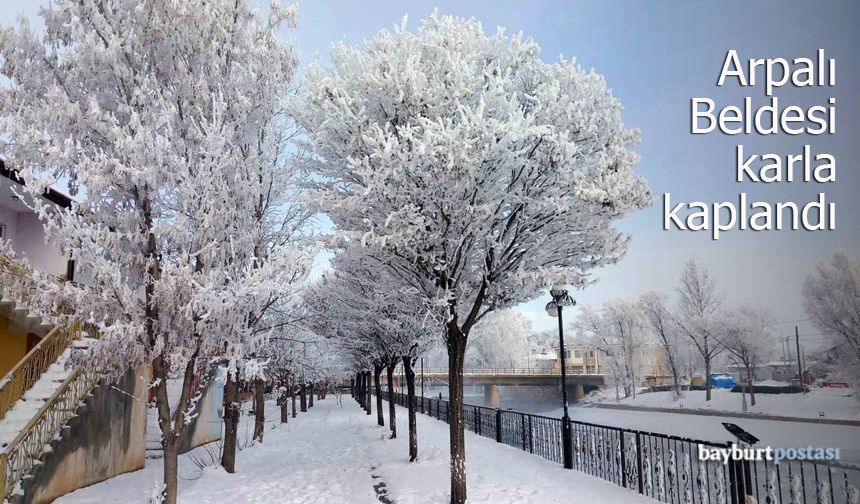 Arpalı Beldesi karla kaplandı