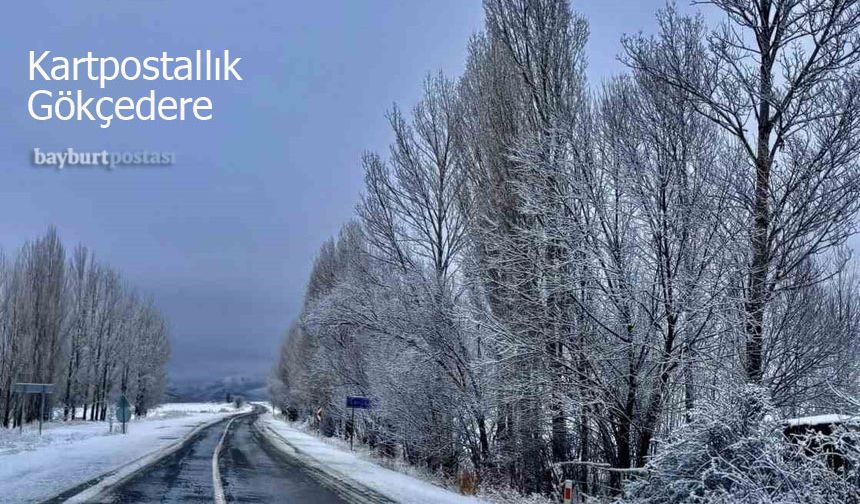Gökçedere'de Kartpostallık Kar Manzaraları