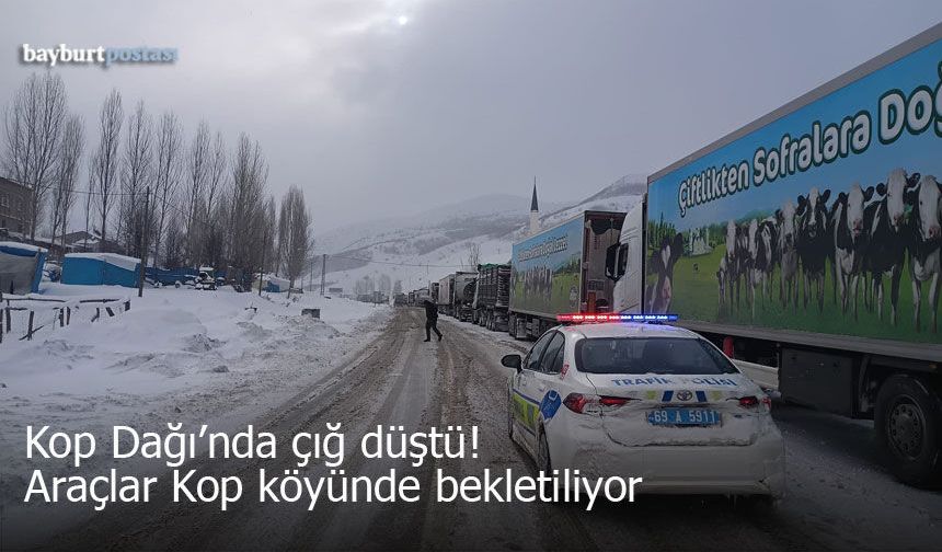 Kop Dağı’nda Çığ Düştü: Yüzlerce Araç Kop Köyü'nde Bekletiliyor!