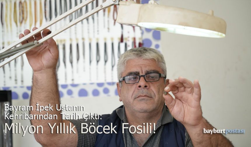 Bayburtlu Ustanın Kehribarından Tarih Çıktı: Milyon Yıllık Böcek Fosili!