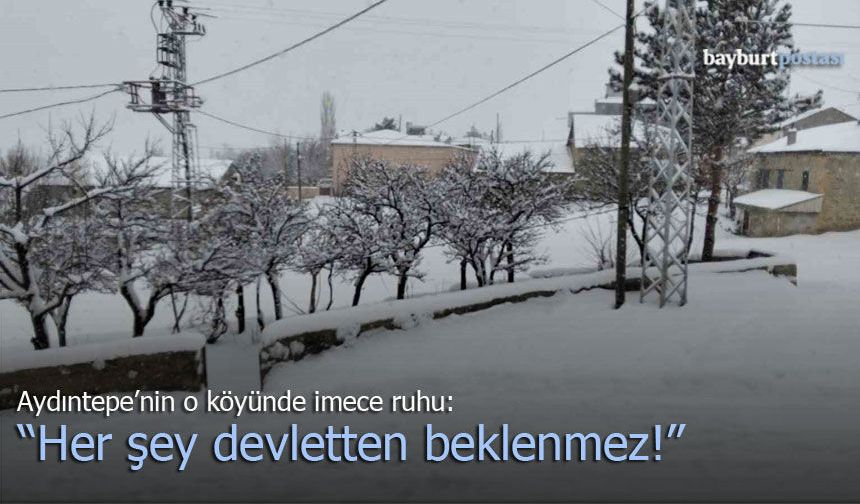 Çiğdemlik Köyü’nde İmece Ruhu: "Her Şey Devletten Beklenmez"