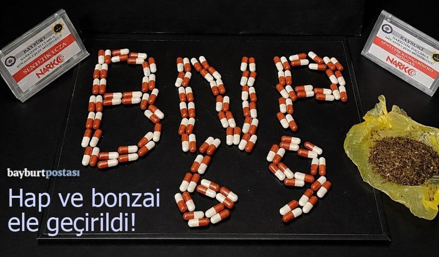 Bayburt'ta 132 Adet Hap ve Bonzai Ele Geçirildi!