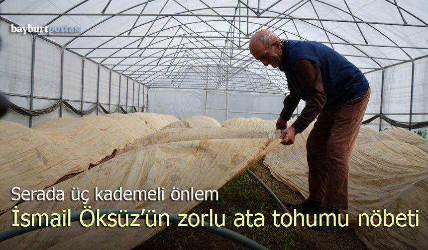 76 Yaşındaki İsmail Öksüz'ün Ata Tohumu Nöbeti: Serada Üç Kademeli Önlem