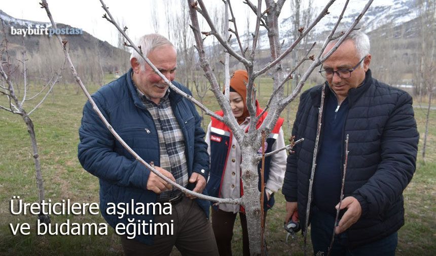 Bayburt’ta üreticilere aşılama ve budama eğitimi
