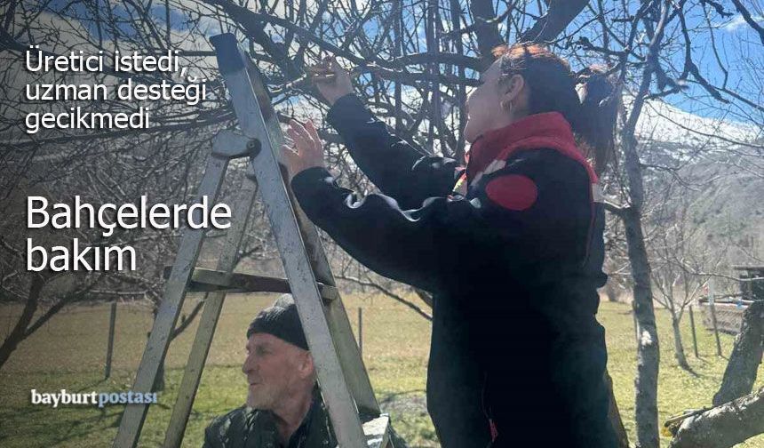 Üretici İstedi, Uzmanlar Geldi: Aydıntepe'de Bahçe Bakımları