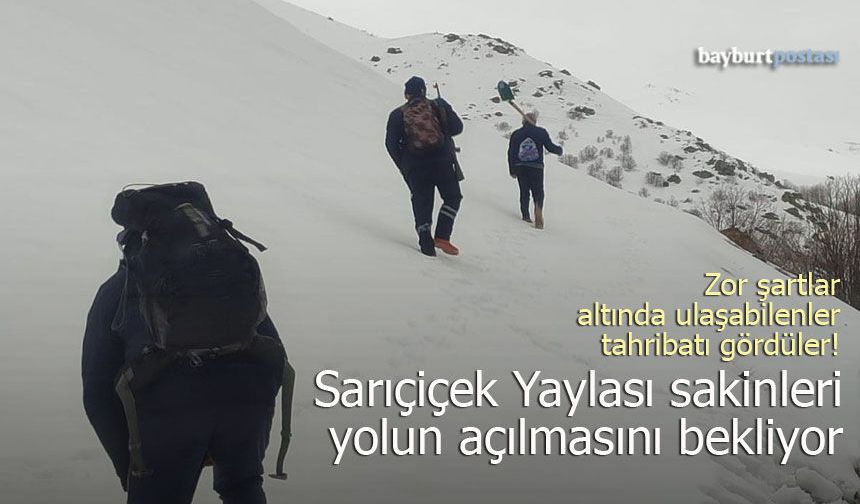 Ayı istilasına uğrayan Sarıçiçek Yaylası’nda ulaşım sorunu çözüm bekliyor