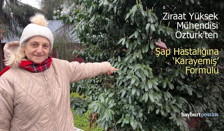 Zehra Öztürk'ten Şap Hastalığına 'Karayemiş' Formülü