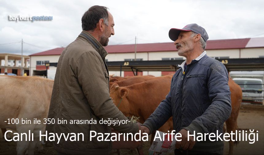 Bayburt Belediyesi Canlı Hayvan Pazarı'nda Arife Hareketliliği