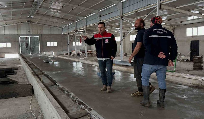 Çatıksu’da modern büyükbaş ahırı inşa ediliyor