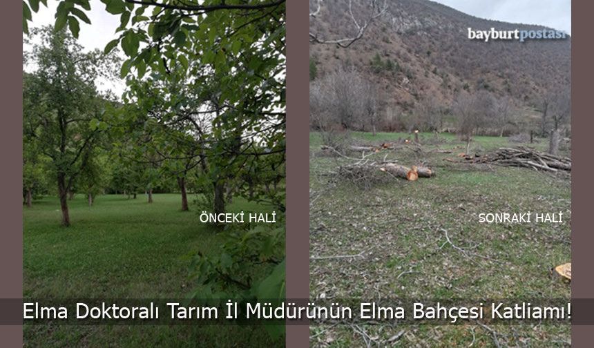 Elma Doktoralı Tarım İl Müdürünün Elma Bahçesi Katliamı!