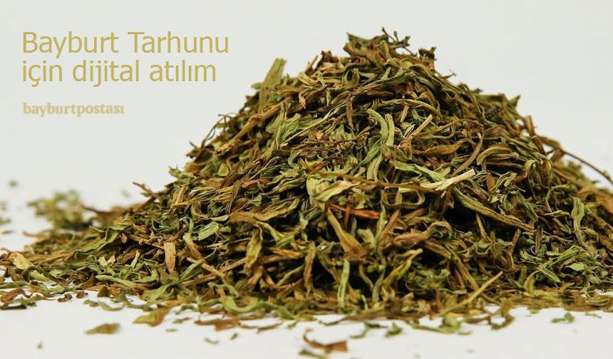 Bayburt Tarhunu İçin Dijital Atılım