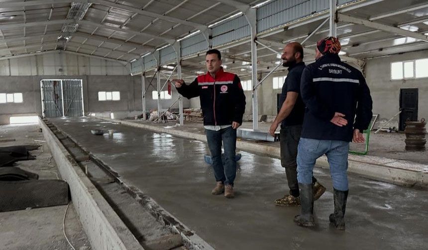 Aydıntepe’deki Hayvancılık İşletmelerine Kapasiteler Belirleniyor