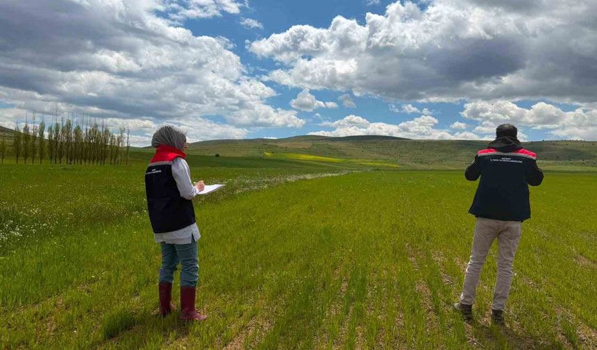 Bayburt’ta Çiftçi Kayıt Sistemi (ÇKS) Ürün Beyanı ve Parsel Kontrolleri Sahada Başladı
