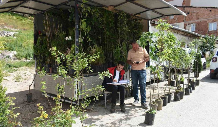 Bayburt'ta Fide ve Fidan Satış Noktalarına Denetim