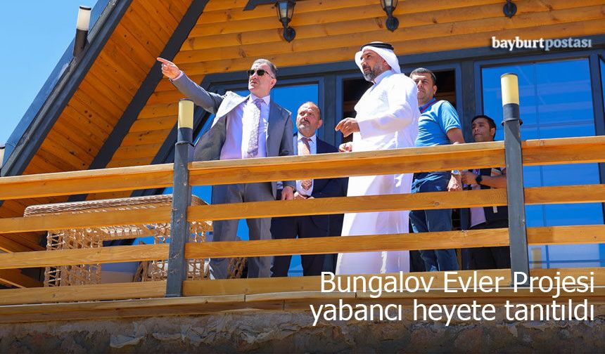 Aslandağı Bungalov Evleri Projesi Yabancı Heyete Tanıtıldı